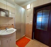 A bathroom with a shower and a sink in a 3-room apartment, tiles and a mirror.