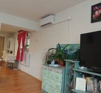 Living room with wood-patterned flooring, television, air conditioning, and decorative elements.