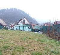 A garden at the family house on Cintorínska Street in Divín, with a view of the forest.