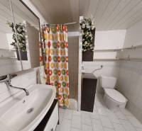Bathroom with a sink, mirror cabinet, and floral decoration in a family house.