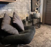 A stylish armchair in a 2-room apartment, gray bricks, decorative tree, dark textiles.