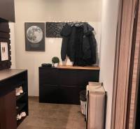 The entrance hall in a 2-room apartment with practical furniture and a moon decoration on the wall.