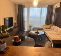 Living room with wood-patterned flooring, a sofa, and a television in a two-room apartment.
