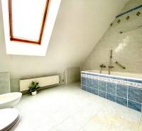 Attic bathroom with a corner bathtub and a skylight in a family house.