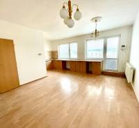Living room with a kitchenette, wooden decor flooring in a family house.