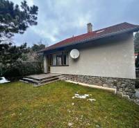 A cottage near Modra with a grassy plot, stone steps, and coniferous trees.