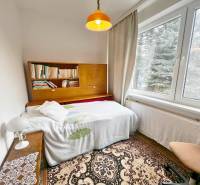 A room in a cottage with a bookshelf, a bed, and a large window.