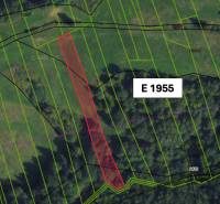 Map of agricultural and forest land in Malachov with the designated parcel.