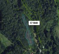 Aerial view of agricultural and forest land in Malachovo with displayed parcels.