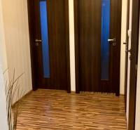 Entrance hallway with two doors, wooden decor flooring, and a plant.