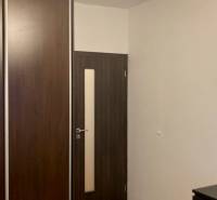 Interior with a dark built-in wardrobe, doors, and wooden decor flooring in a 3-room apartment.