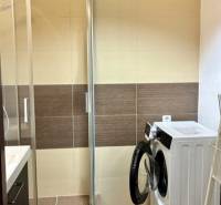 A bathroom with a shower and a washing machine in a 3-room apartment.