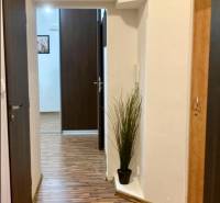 A hallway in a 3-room apartment with a wooden decor floor and built-in cabinets.