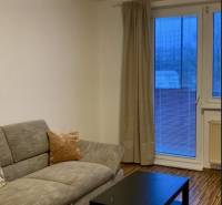 Living room with a sofa, black table, and wood-patterned flooring in a 3-room apartment.