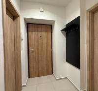 Entrance hallway in a 1-room apartment with a coat rack, wooden doors, and light-colored flooring.