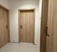 A corridor with three doors, tiles, and doors with a wooden decor, 1-room apartment.