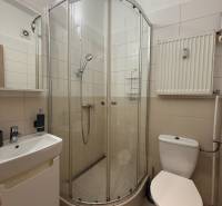 A bathroom in a studio apartment with a corner shower, sink, and toilet.
