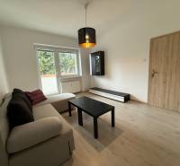 Living room furnished with a sofa and a table, floor with wooden decor.