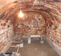 A basement with brick walls and an arched ceiling in a family house.