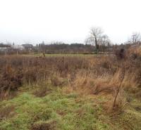 A grassy plot with bushes and trees in Kravany nad Dunajom, ideal for a family house.