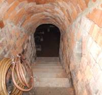 A brick cellar under a family house with stairs leading down and rolled-up hoses on the wall.