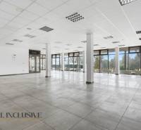 Spacious commercial spaces with large windows, floor with simple decor.
