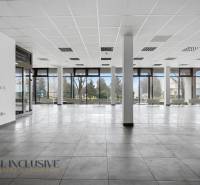 Spacious commercial spaces with large windows, light tiles, and columns.