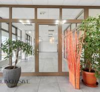 Commercial space with glass doors, plants, and decorative elements on the floor.