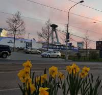 View of the SNP Bridge from Rázus Embankment, Bratislava - Old Town, with spring flowers.