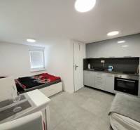 A kitchenette and a bed in a cabin with gray cladding and furnishings.