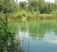 Green lake surrounded by vegetation in Bratislava - Ružinov on Studená near the cottage.