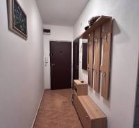 A hallway with a coat rack wall and a wooden decor floor in a 2-room apartment.