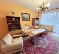 Living room in a two-room apartment with a wooden decor floor and a carpet.