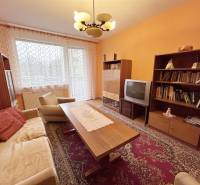 Living room in a two-room apartment with a wooden decor floor and retro furniture.