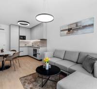 Stylish living room and kitchen in a two-room apartment with a wooden decor floor.