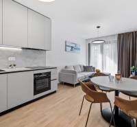 Kitchen and living room in a 2-room apartment with a wooden decor floor and a comfortable sofa.