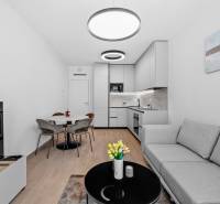 Living area of a 2-room apartment with a sofa, kitchen, and dining table, floor with wood decor.