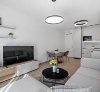Living room with kitchen in a 2-room apartment, light couch, television, wooden decor flooring.