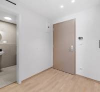 Entrance hall with wood-patterned flooring and bathroom in a 2-room apartment.
