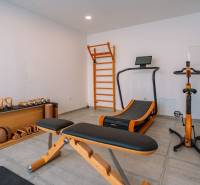 Gym in the villa with equipment: bench, treadmill, dumbbells, wooden ladder.