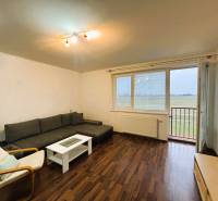 Living room in a two-room apartment with a wooden decor floor and a sofa.