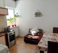 A family house with a kitchen, dining table, armchair, and plants by the window.