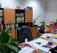 An office with wooden cabinets, writing supplies, and greenery in a family house.