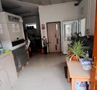 Interior with a plant on the table, storage space, door, and hanging lamps.