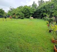 A green garden with a lawn, flowers, trees, and a terrace suitable for a family house.