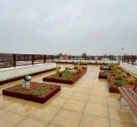 Rooftop terrace of a 3-room apartment in Komárno with benches and greenery.