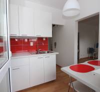 A kitchen with red tiles and white cabinets in a studio apartment, with a wood-patterned floor.