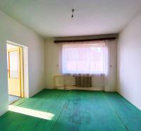 A room in a family house with a radiator, green floor, view of the rooftops.