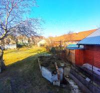 The garden at the family house on Sadová Street in Borský Mikuláš with a tree and an extension.