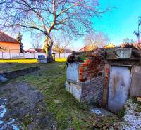 Garden with a cellar at the family house on Sadova Street in Borsky Mikulas.